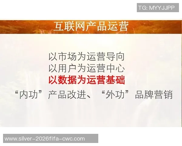 足球俱乐部发展战略与市场推广计划书全面解析与实施方案