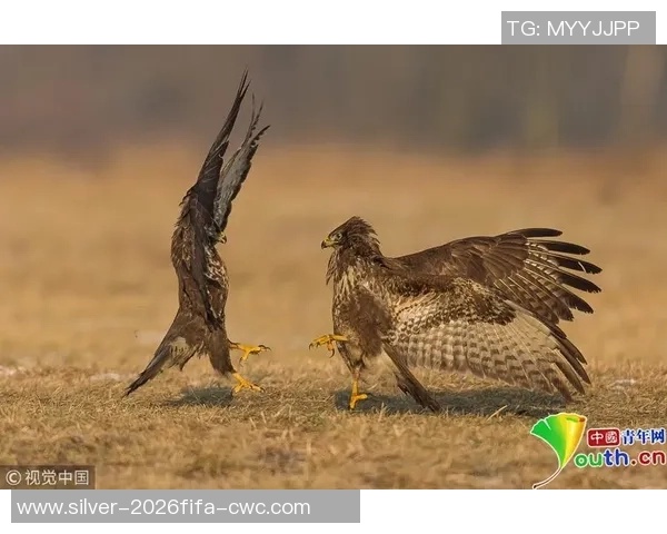 足球场上的搞笑打斗瞬间让人捧腹大笑的奇葩场面合集 足球场上的搞笑打斗瞬间让人捧腹大笑的奇葩场面合集