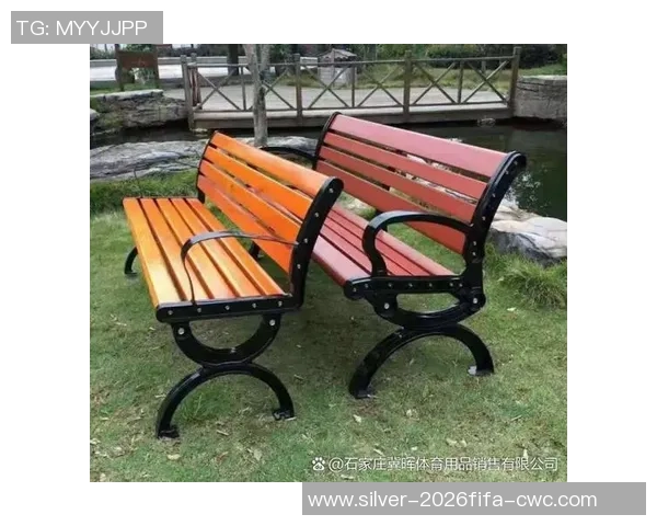 足球场看台座椅价格分析及购买建议助您轻松选择合适座椅 足球场看台座椅价格分析及购买建议助您轻松选择合适座椅